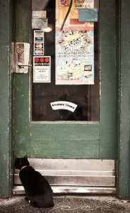Empty storefront or neglected business area