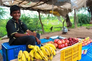 "How is it that people with little formal education become more successful than those who have advanced degrees?"