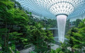 Singapore Changi: A Tropical Wonderland