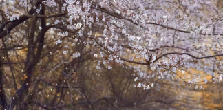 Missing someone is hard. Learn how to heal and grow through change. See how can I improve my self development when life feels a little lonely.