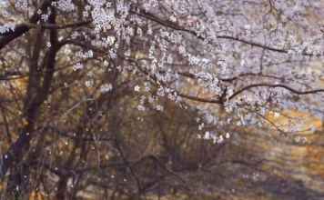 Missing someone is hard. Learn how to heal and grow through change. See how can I improve my self development when life feels a little lonely.