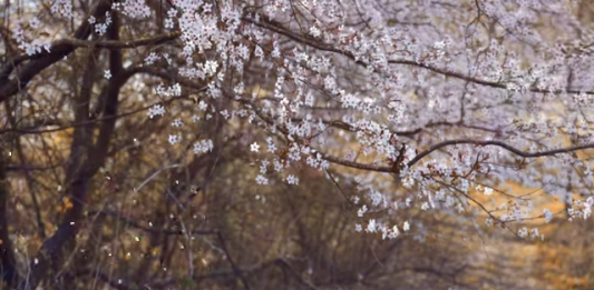 Missing someone is hard. Learn how to heal and grow through change. See how can I improve my self development when life feels a little lonely.