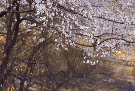 Missing someone is hard. Learn how to heal and grow through change. See how can I improve my self development when life feels a little lonely.